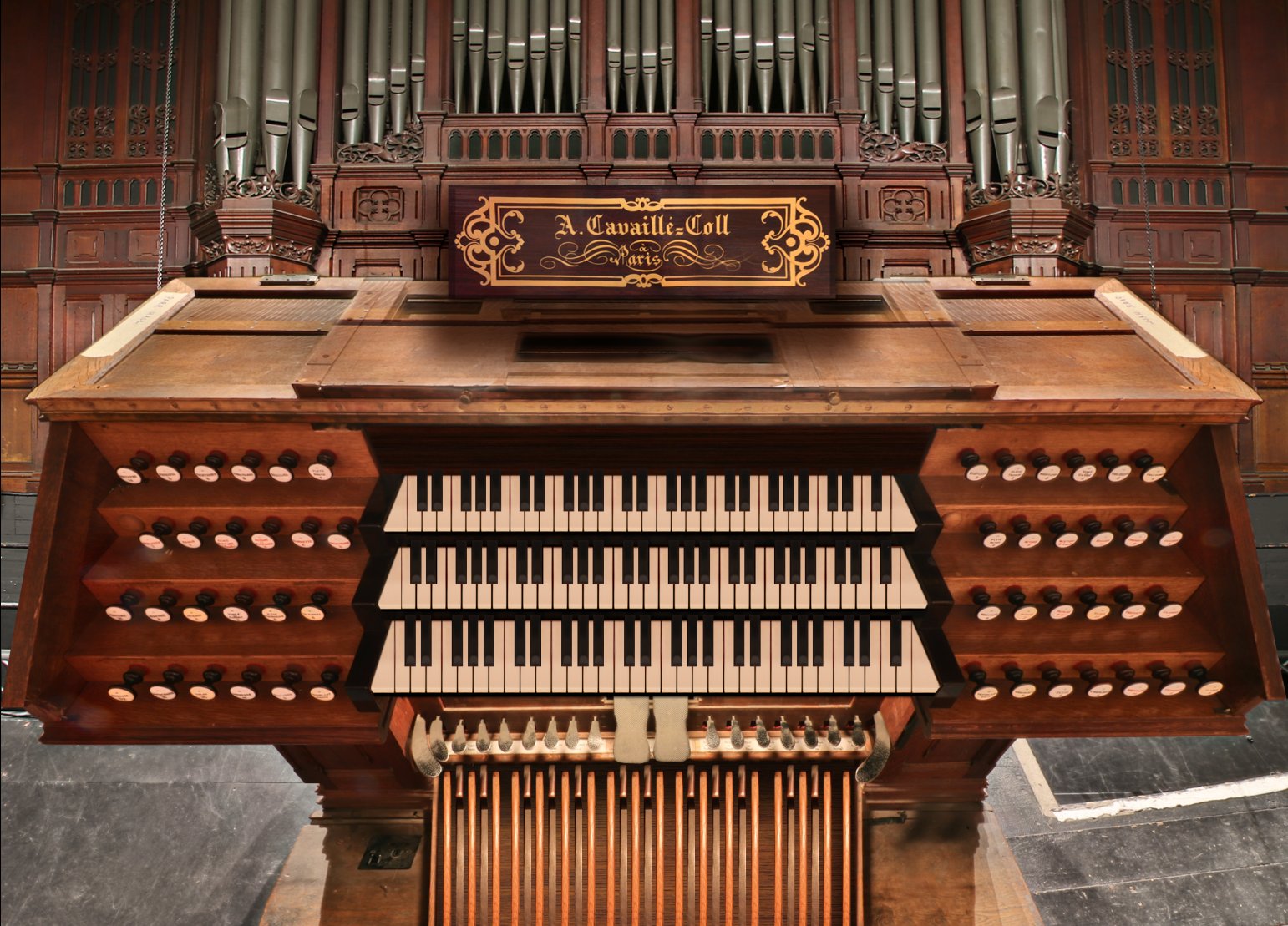 The Cavaillé-Coll Organ