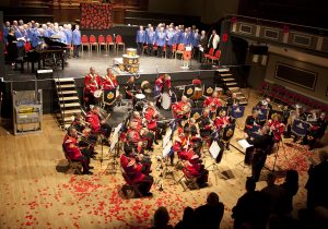 poppy-petals-lie-on-the-ground-following-two-minute-silence-during-wmvc-rbl-festival-of-remembrance-1-11-2014
